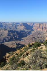 Photo References of Background Grand Canyon